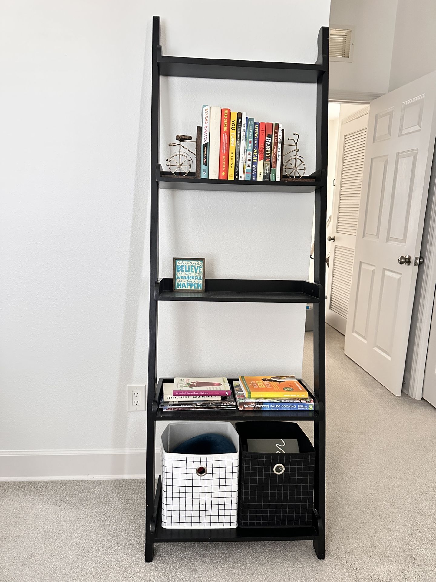 Bookshelf or Any purpose Shelving