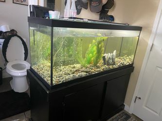 75 gallon fish tank