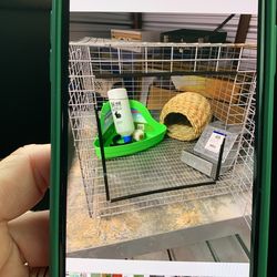 Bunny Cage