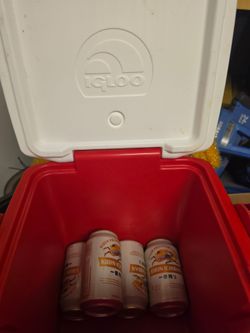Mini igloo $20