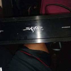    S K A R    Two  Channel CaR AMP 