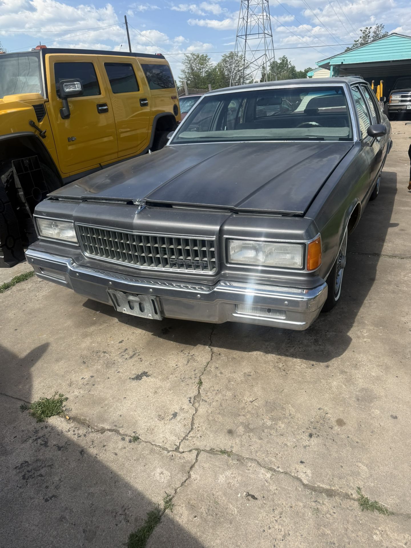 Caprice Classic