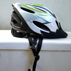 Schwinn Traveler Adult Helmet Silver /Green Ages 14 - Adult