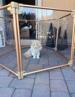 Modular Gold Pet Playpen - NEW