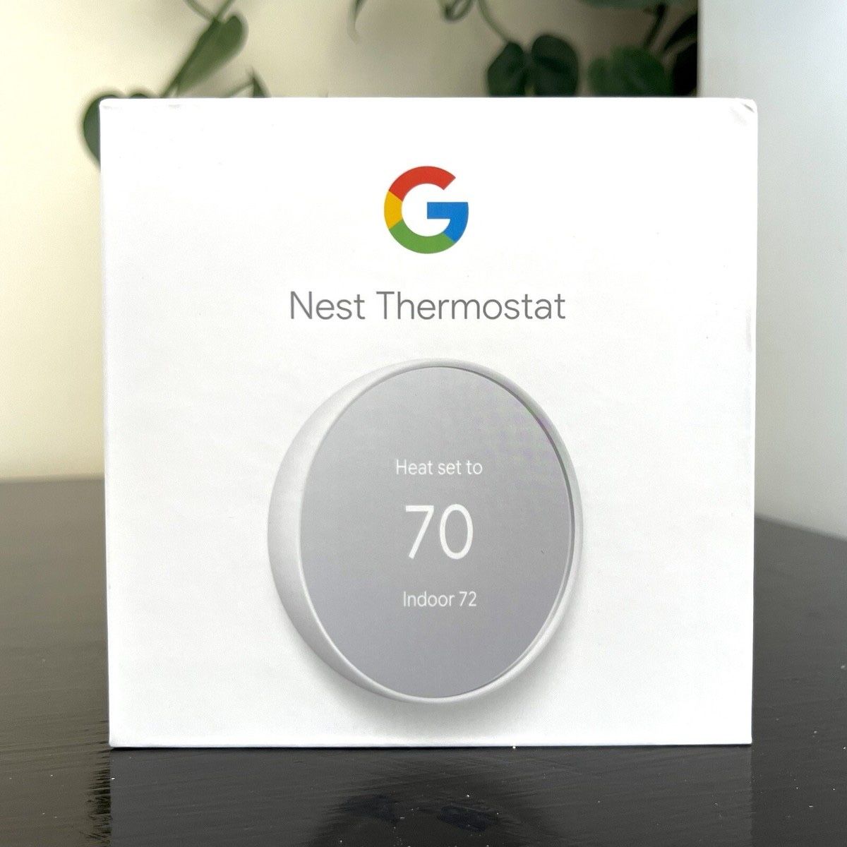 Nest Thermostat 3rd Gen Snow