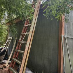 Ladders For Sale