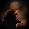 Hush 