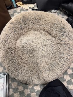 Dog Bed - used , 36”