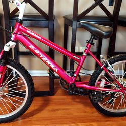 20" Terra 2.0 8sp mountain bike