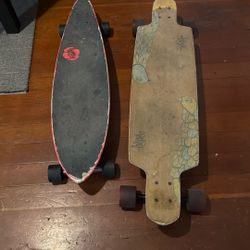 Long Board Skate Boards