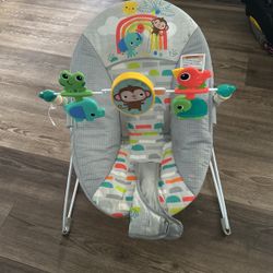 Baby Bouncer