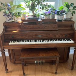 Musical Instruments 