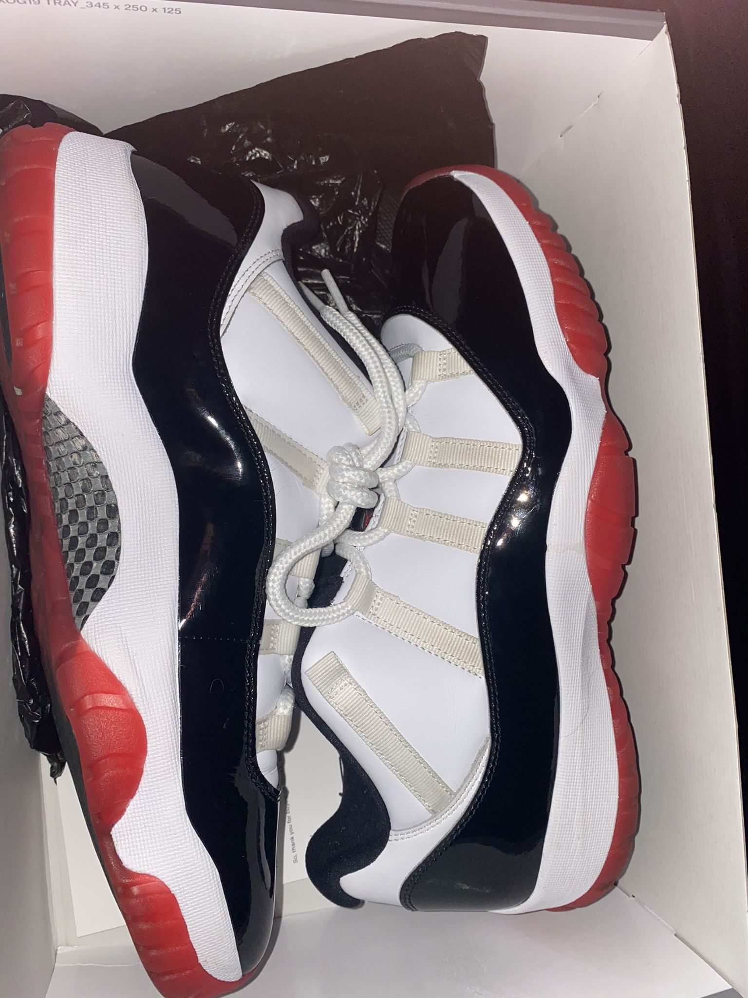 Jordan 11 Concord Bred Size 12