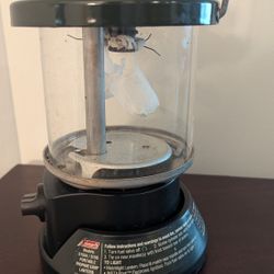 Coleman Lantern And Carrying  Case