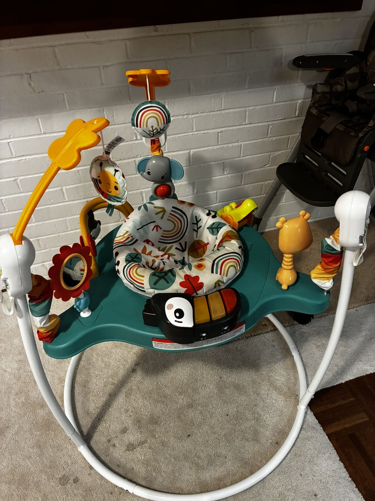 Fisher Price Baby Bouncer