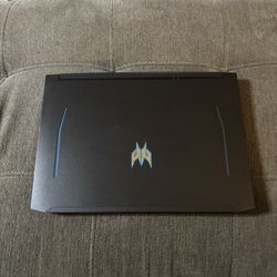 Acer Predator Helios 300
