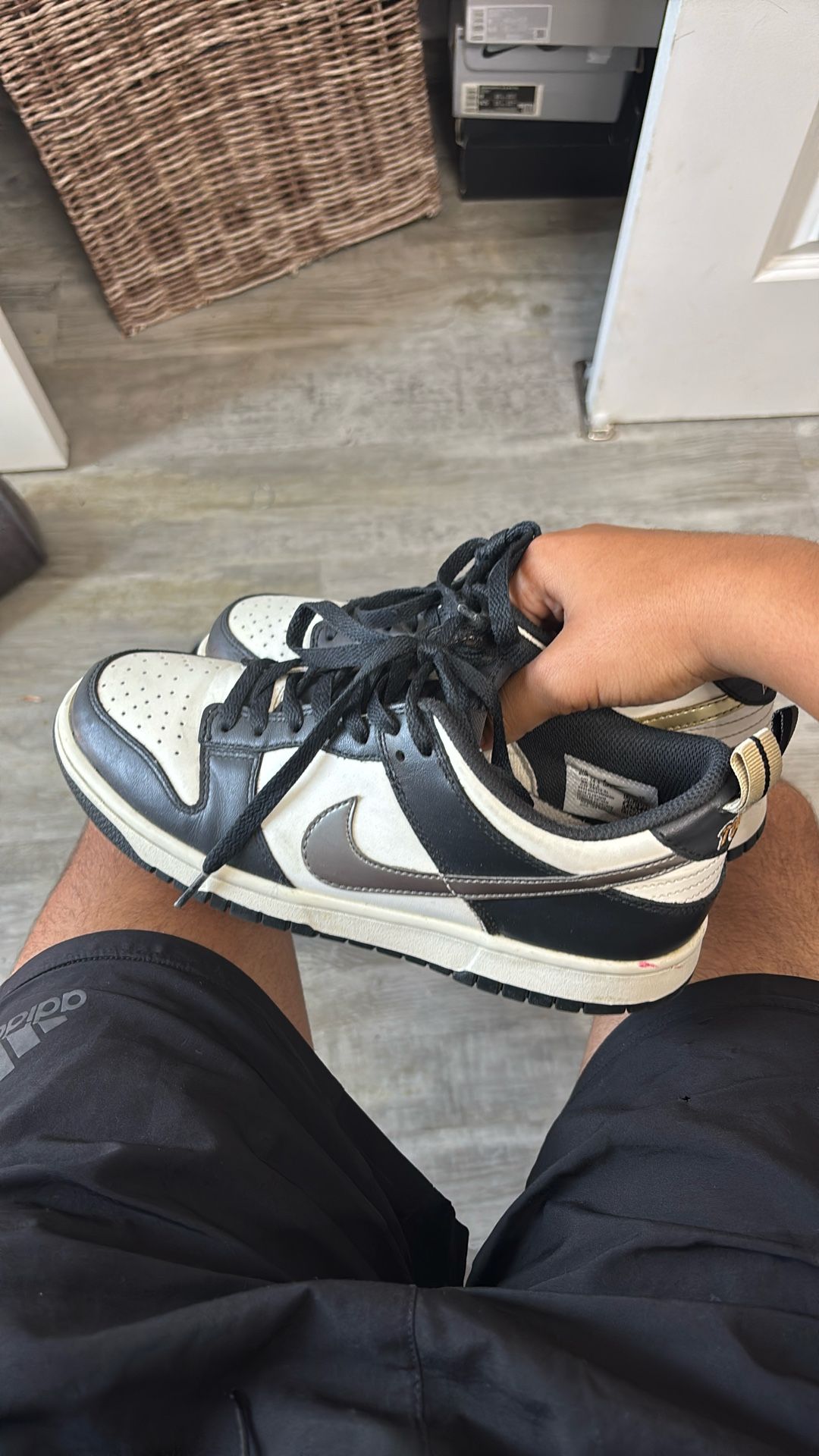 Nike Sb Dunk