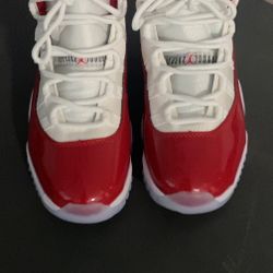 Cherry Blossoms Jordan 11s (9.5)