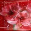 MIREILY