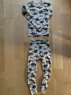 Hanna Andersson Dinosaurs Pajamas 120