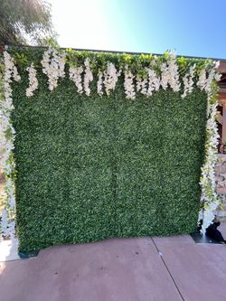 Green Grass Backdrop Wall