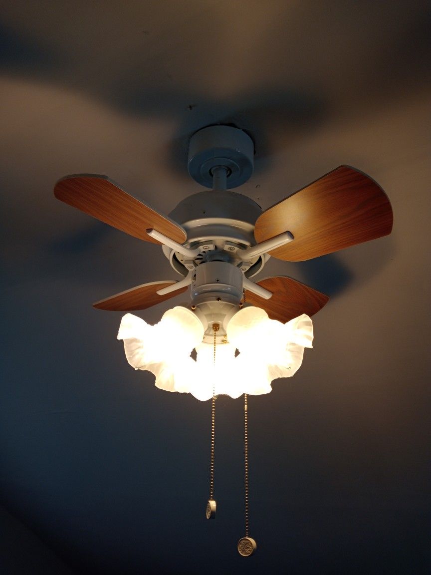 Hampton Bay Metarie 24 in. Indoor White/graphite oak blades Ceiling Fan with Updated Light Kit