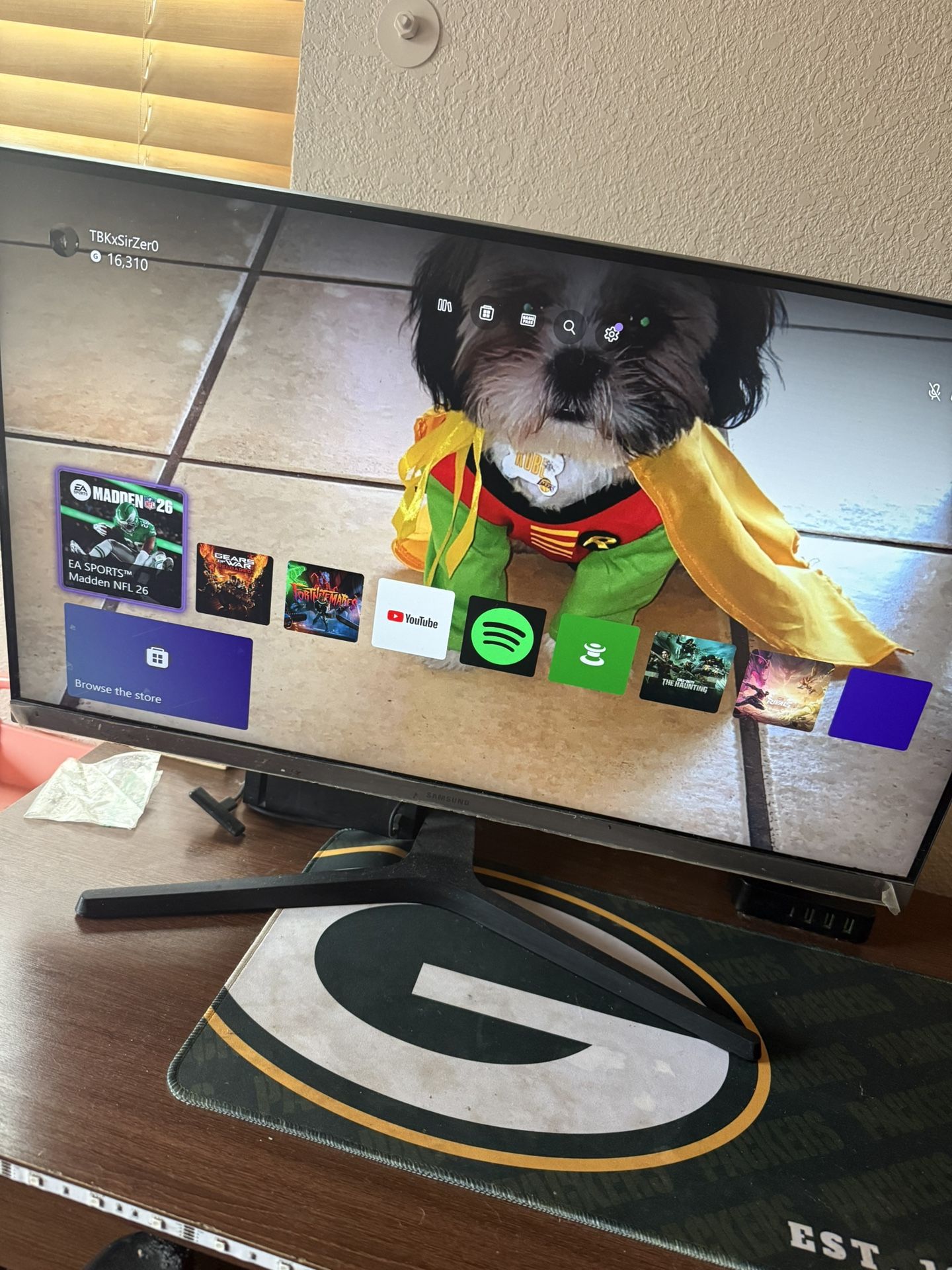 Gaming Monitor