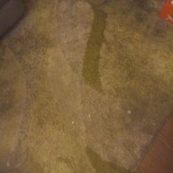 Throw Rug Needs Cleaning Only 5 Months Old