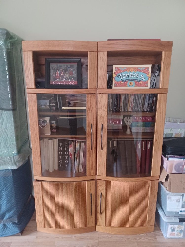 Cabinet/ Book Shelf 