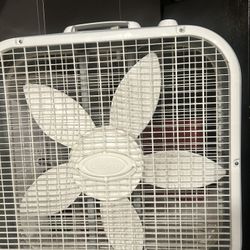 Fan