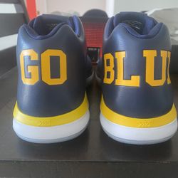 Air Jordan XXXI Low Michigan 