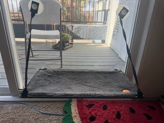 Window Cat perch