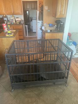 Large dog crate