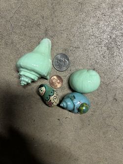 Hermit Crabs Shells And Hides And Dish