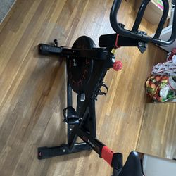 Bicicleta De Hacer Ejercicio  Biange Semi Nueva