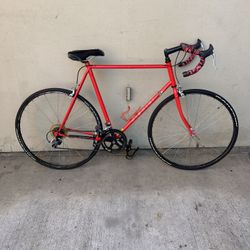 Nishiki Modulus Road Bike