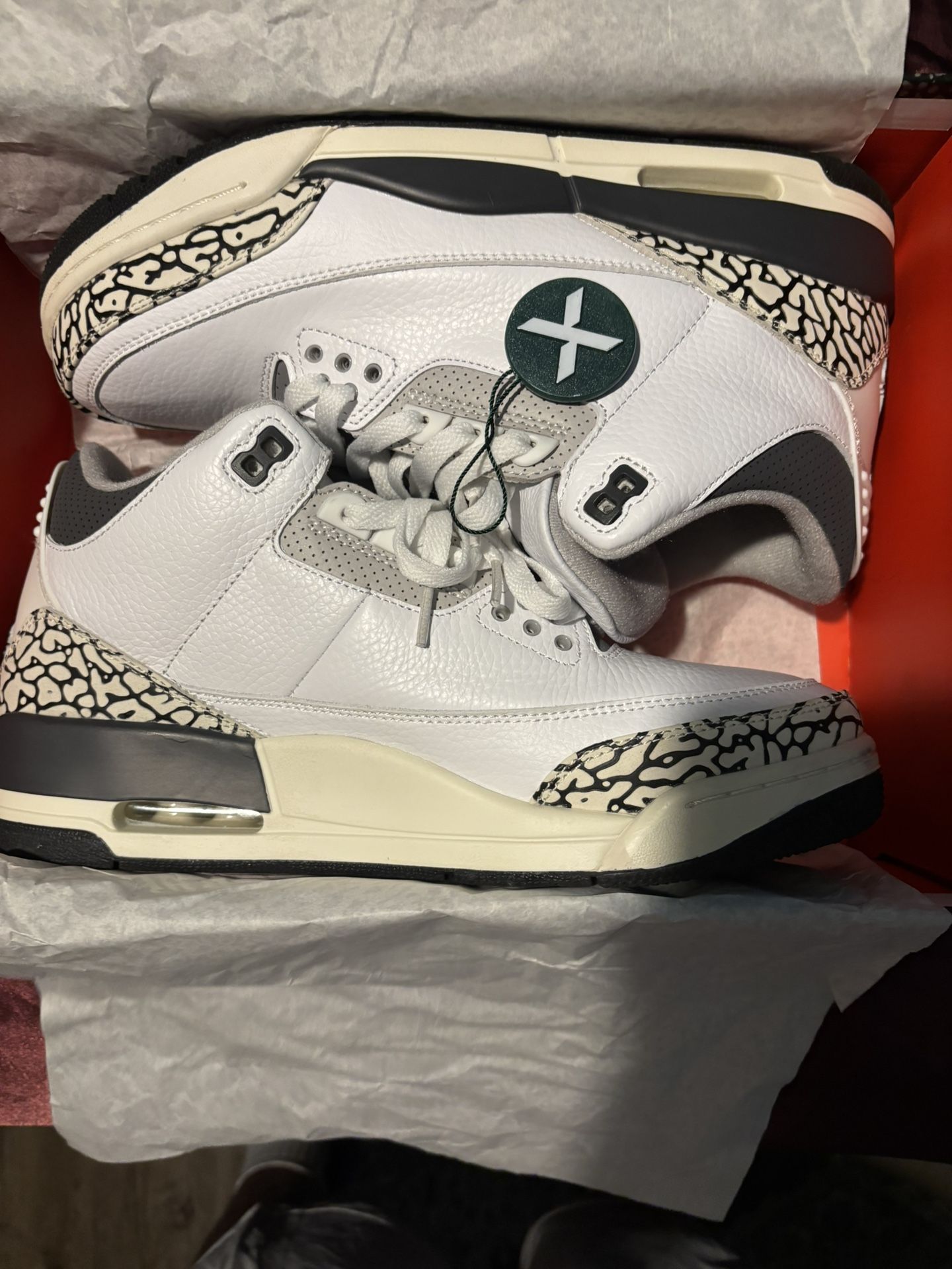 Jordan 3 Hide n Sneak
