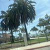 jaden p