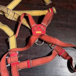 Safety Harness