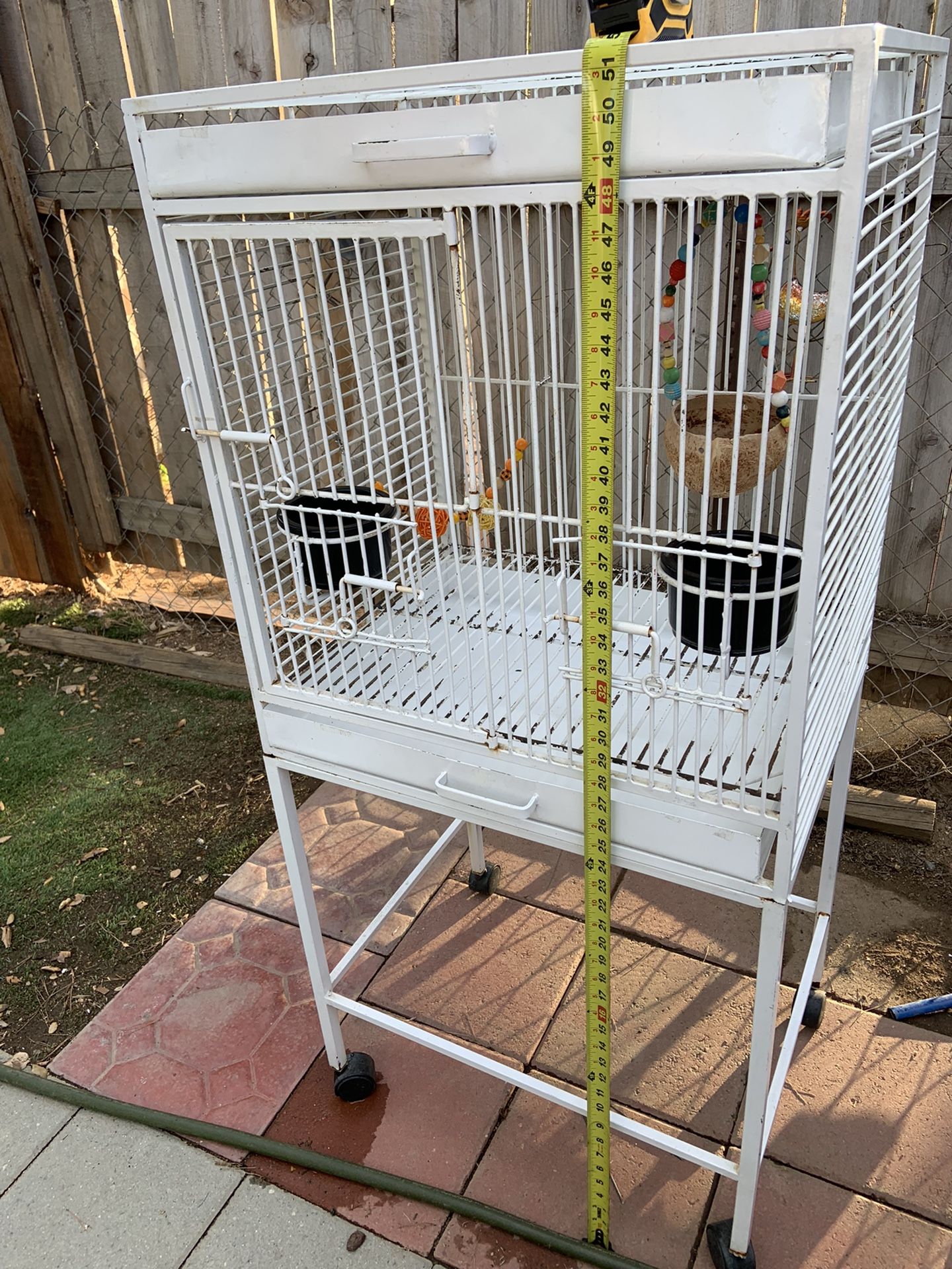Bird Cage