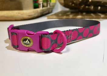 NEW Dog Collar (Medium)