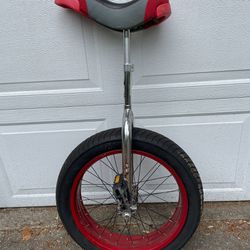 Sun Fat Tire Unicycle 