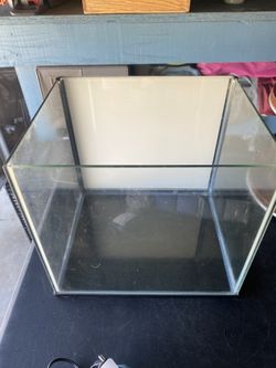 Medium Size Fish Tank