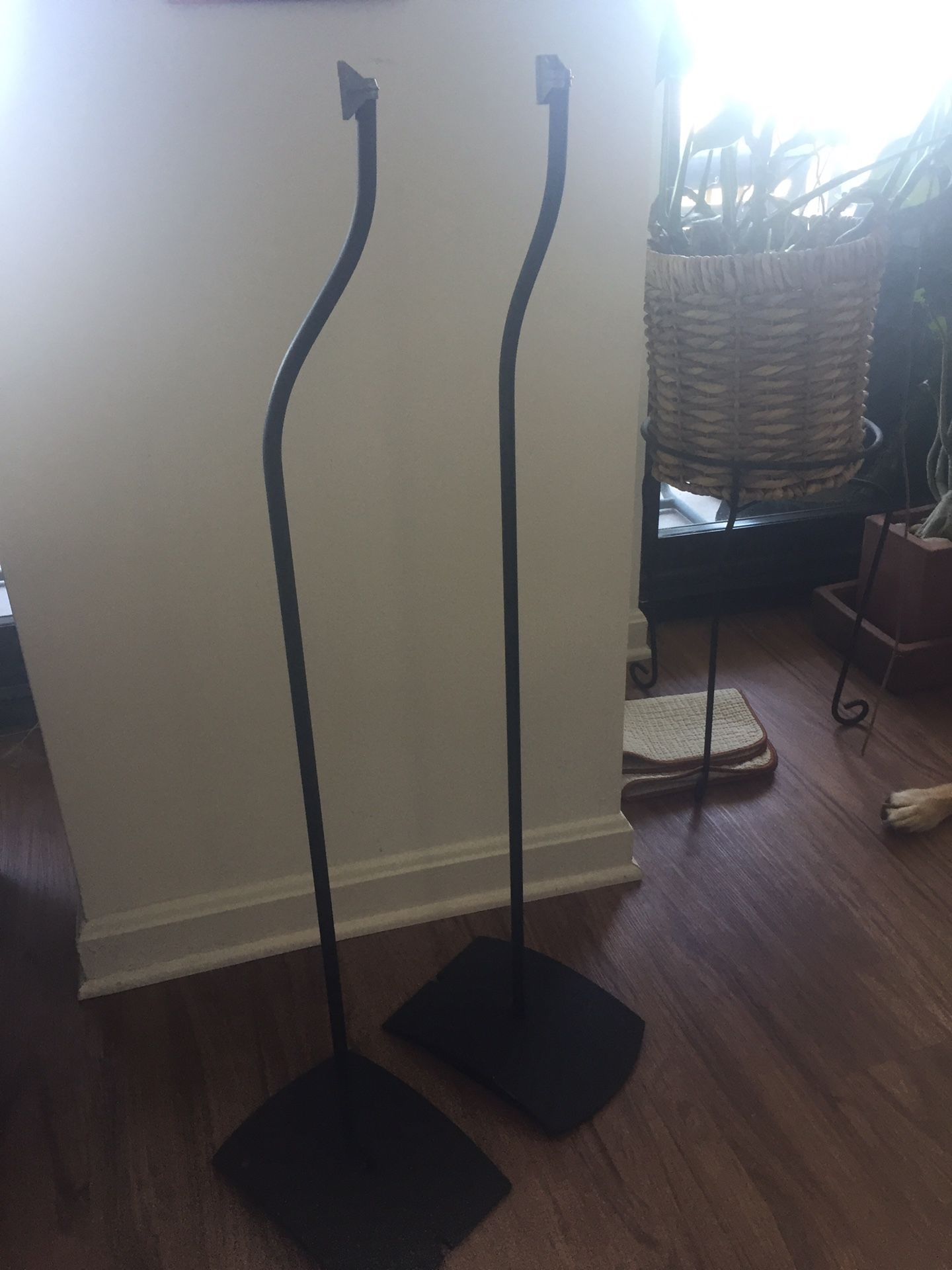 Bose Speaker Stands