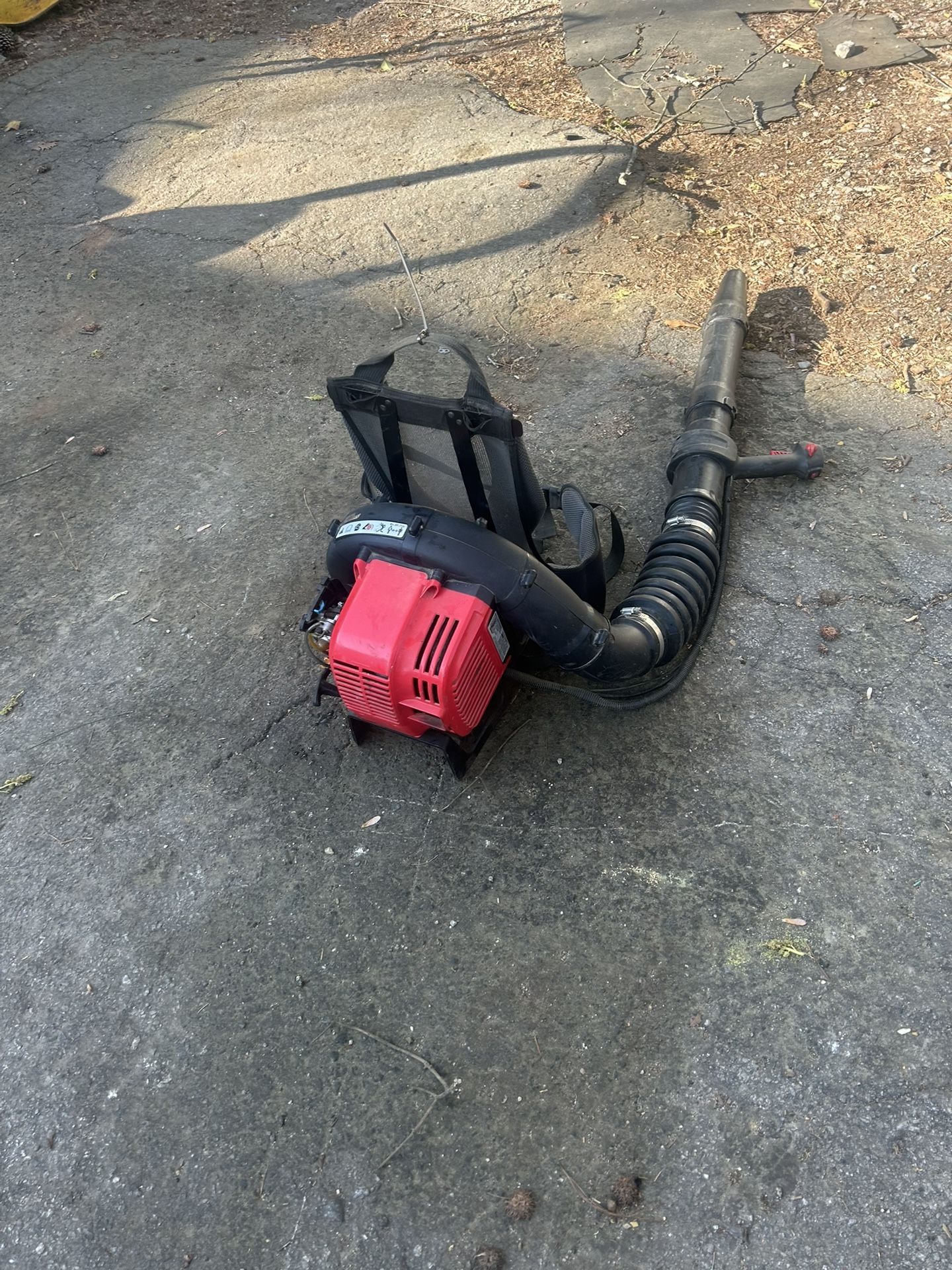 RedMax Gas-Powered Backpack Leaf Blower