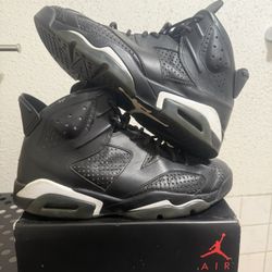 Jordan 6 Black Cat 9.5M 