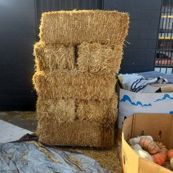 Hay!