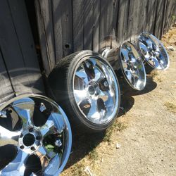 170 OBO Size 22"
