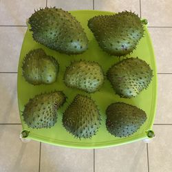 Soursop / Guanabana 