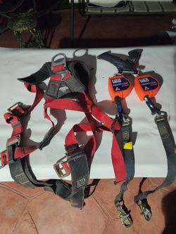 Harness